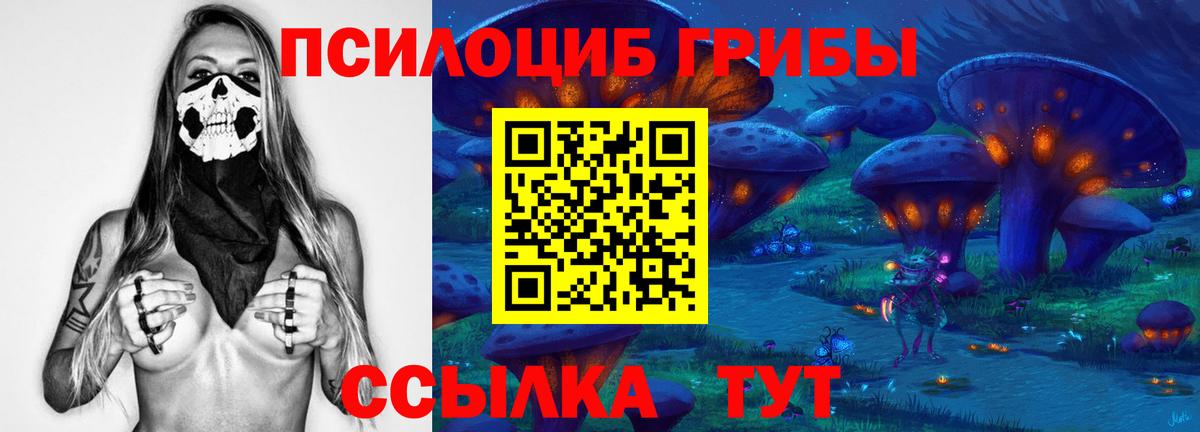 Выборг  Псилоцибиновые грибы ЛСД  Вход с VPN 